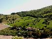 Typical sweet rolling hills of Marche